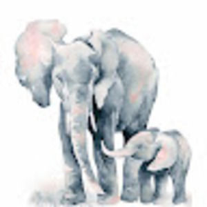 Meet your Posher, Robin